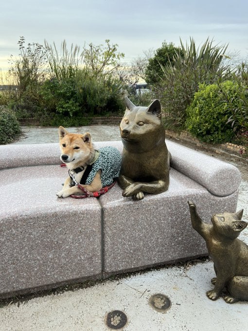 San Chan beside Kabosu statue