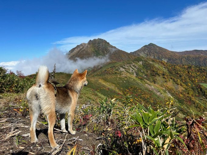 Do Only Good Everyday